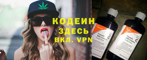 индика Белокуриха