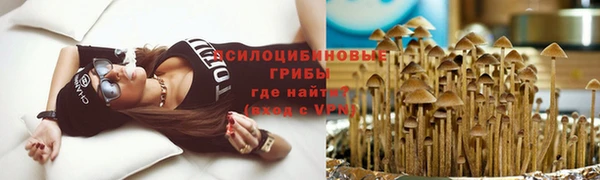 амф Богданович