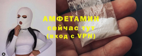 сатива Богородицк