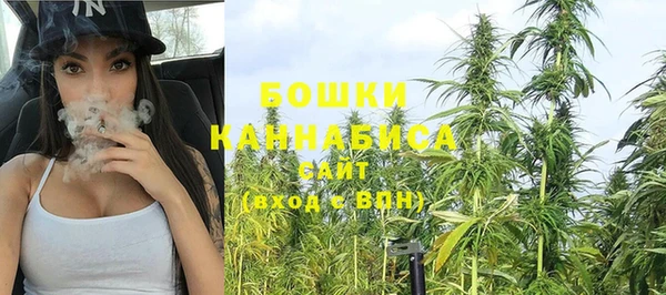 индика Белокуриха