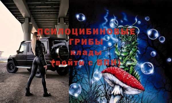 крисы Белоозёрский
