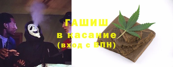 индика Белокуриха