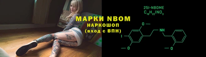 индика Белокуриха