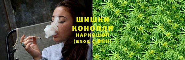 индика Белокуриха