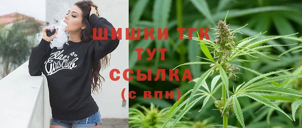 индика Белокуриха