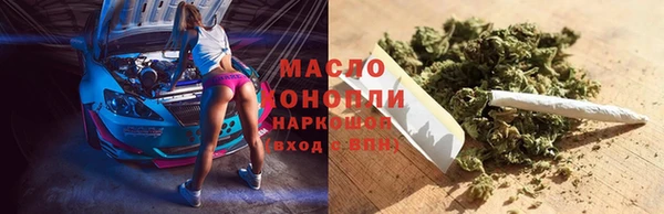 индика Белокуриха